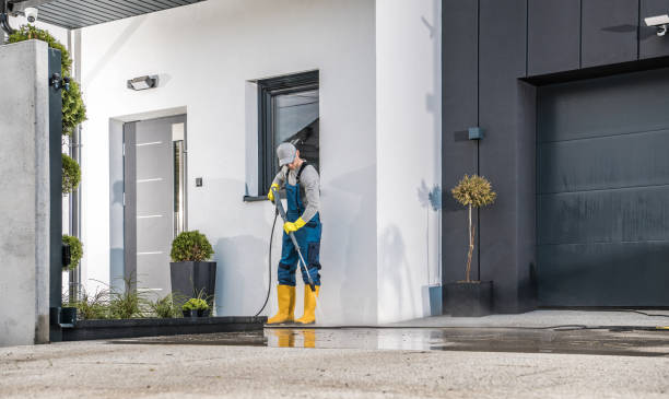 Best Roof Cleaning and Mildew Removal in Port Washington, NY